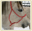 Montana cowboy halter
