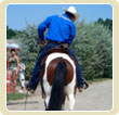 Paint Horse
