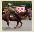 Reining
