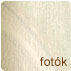 Lovas fotk, kutys fotk