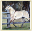 QH