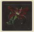 Liliom