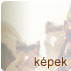 Lovas grafikk, lovas festmnyek, lovas kpek, ms tmj kpek