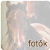 Lovas fotk, kutys fotk