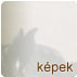 Lovas grafikk, lovas festmnyek, lovas kpek, ms tmj kpek