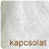 Kapcsolat